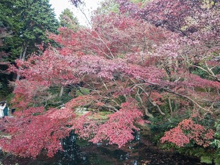 2016-11-23 16.04.01.jpg
