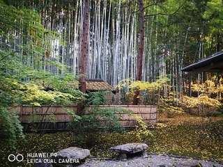 2016-11-23 16.09.00.jpg