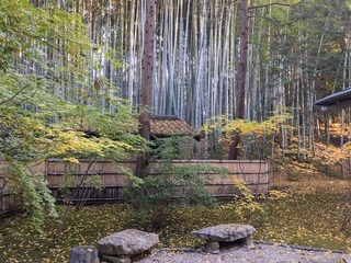 2016-11-23 16.09.25.jpg