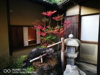 2016-11-23 16.15.32.jpg