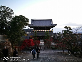 2016-11-23 16.37.15.jpg
