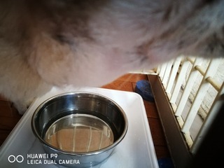 2017-04-20 09.24.57.jpg