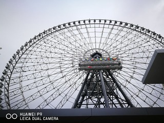 2017-05-10 09.47.19.jpg