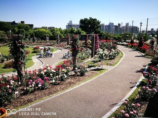 2017-05-18 15.28.35.jpg