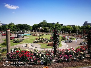 2017-05-18 15.28.41.jpg