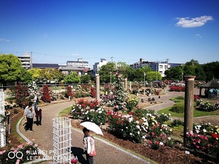 2017-05-18 15.28.53.jpg