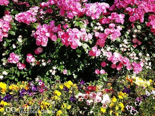 2017-05-18 16.04.54.jpg