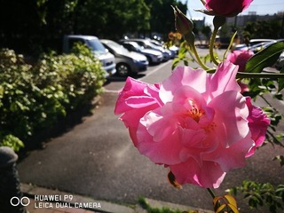 2017-05-18 16.06.23.jpg