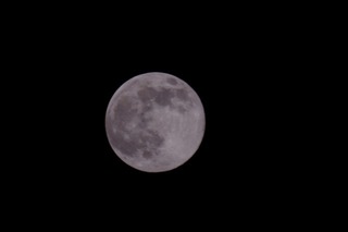 2017-06-09 20.56.26.jpg