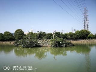 2017-06-19 15.09.22.jpg