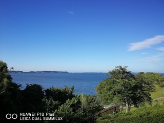 2017-08-09 07.19.49.jpg