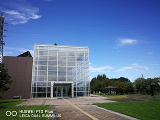 2017-08-12 11.30.39.jpg