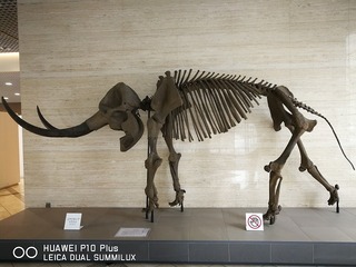 2017-09-23 10.13.07.jpg