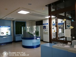 2017-10-09 09.13.43.jpg