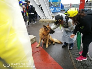 2017-10-14 09.26.45.jpg