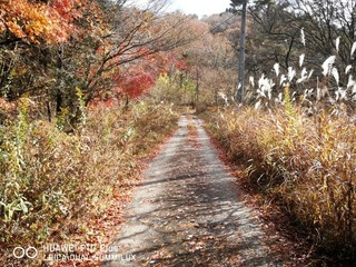 2017-11-23 13.14.37.jpg