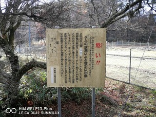 2017-11-23 13.15.01.jpg