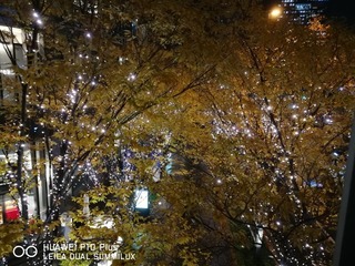 2017-11-29 17.36.50.jpg