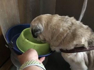 2018-06-09 07.24.17.jpg