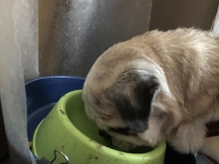 2018-06-09 07.24.34.jpg