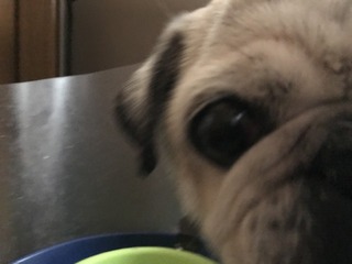 2018-06-09 07.25.04.jpg