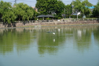 2018-06-26 03.27.57.jpg
