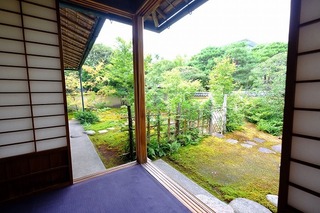 2018-08-10 11.31.26.jpg