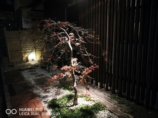 2018-12-03 18.21.10.jpg