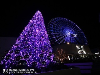 2018-12-05 18.10.06-2.jpg