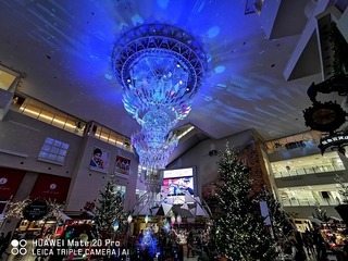 2018-12-14 17.12.43.jpg