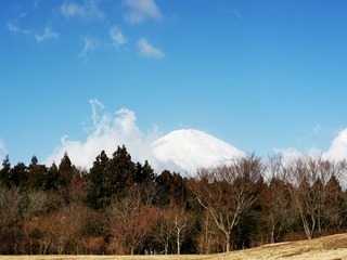 2019-02-04 09.46.28.jpg