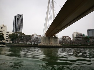 2019-03-06 14.32.28-1.jpg