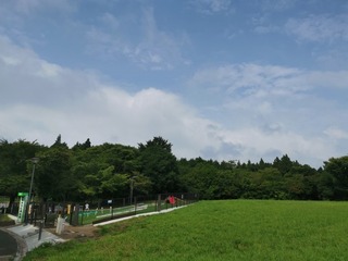 2019-07-29 08.56.01.jpg