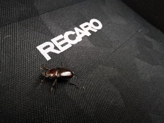 2019-07-29 11.21.17.jpg