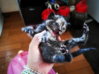2019-09-30 14.06.42.jpg