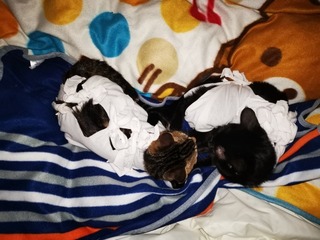 2019-12-06 01.13.06.jpg
