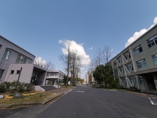 2020-04-02 11.24.11.jpg