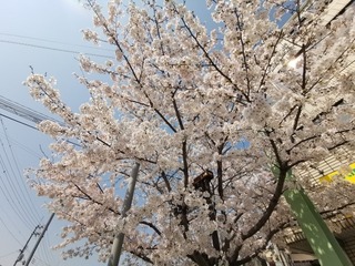2020-04-04 10.19.54.jpg
