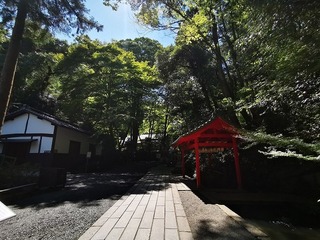 2020-08-30 13.24.40.jpg