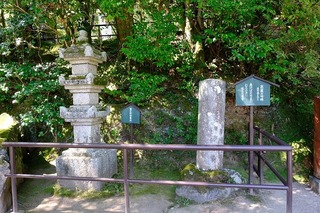 2020-08-30 13.51.12.jpg