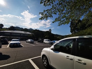 2020-08-30 15.40.49.jpg