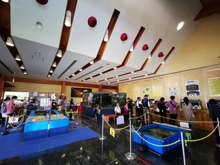 2020-09-20 11.32.20.jpg