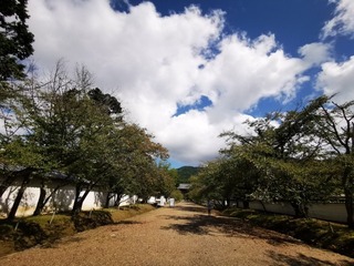 2020-09-27 13.25.10.jpg