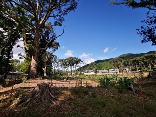 2020-09-27 13.45.51.jpg
