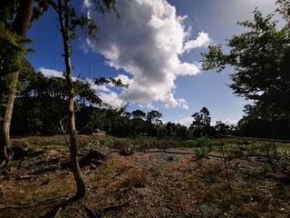 2020-09-27 13.46.05.jpg