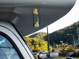 2020-11-04 08.42.58.jpg