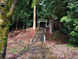 2021-03-14 09.41.11.jpg
