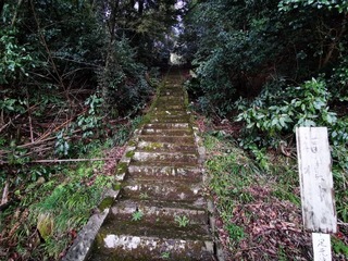 2021-03-14 10.18.41.jpg
