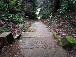2021-03-14 10.25.01.jpg