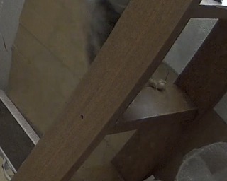 2021-03-18 16.48.32.jpg